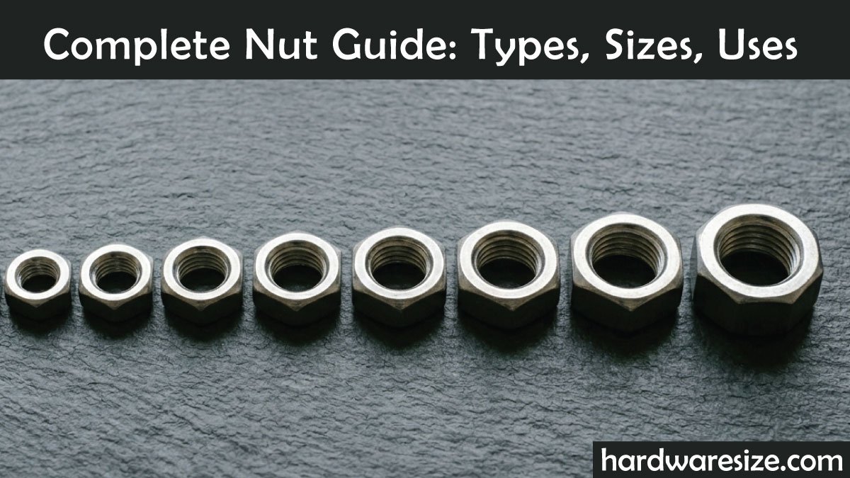 Complete Nut Guide: Types, Sizes, Uses & Materials